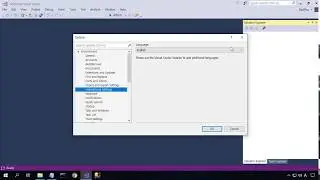 Visual Studio 2017을 영문 버전으로 변경하기