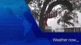 WHAT IS THE Weather now Lightning Thunderstorm Windy and dark cloud florida