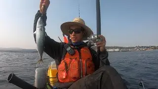 Chasing a Fish that has NEVER BEEN CAUGHT on a Kayak