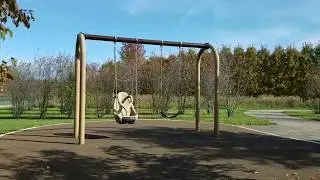 Walnut Woods Metro Park - Buckeye Area