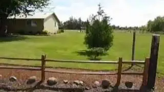 Single level home on 2 flat acres near Salem Oregon
