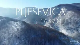 Plje&scaron;evica