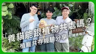養貓能跟植物共處嗎？植寵共存經驗分享 ft.台北陋巷咖啡