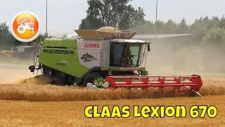 Harvest 2025 | Claas Lexion 670 combine & V770 header