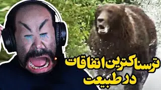 Damn nature - ویدیوهایی که پسرعموی تارزان برام فرستاده