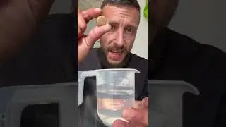 Fabrique un pi&egrave;ge &agrave; moustiques redoutable #Moustiques #astuce #piege