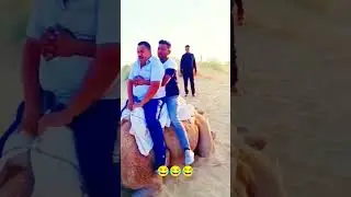 Funny Video 😂 Camel Riding Fail | Brown Boys #failvideo #camelride #camelvideo