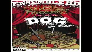 Classical music, hot dogs and vinyl - Happy Dog Live