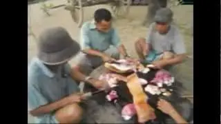 hk.kan inn puai