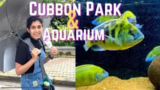 Evening walk at Cubbon Park | Bangalore Aquarium | Cubbon Park Bangalore | Curly Bhavya