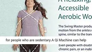 Daiwa Felicity Original Chi Swing Machine USJ-201 Passive Aerobic Exerciser Swing Master with