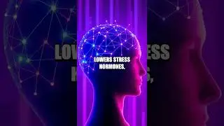 Neural Breath: How a Simple Inhale Exhale Boosts Quick Focus
