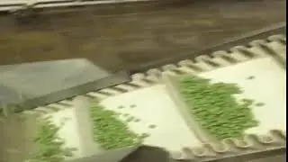 Full Auto Pet food/dog/cat/fish/mouse/bird feed pellets making machine production line .