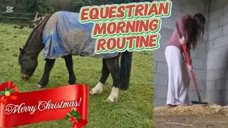 EQUESTRIAN MORNING ROUTINE || EVIE'S VLOGMAS