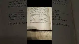 110 Year Old Chicken Feed Recipe