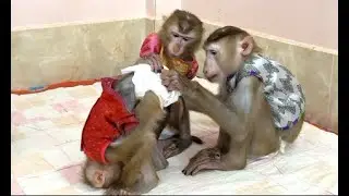 Sweetie Sovan & Sovanny Feel Very Care & Worry For Sister Jula Till Come & Check On Her ,