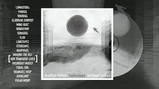 Goodbye Meteor - Tape 2 [OUR TRANSIENT LIVES REMIX]