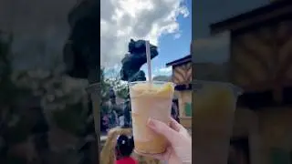 Lefou's Brew from Gaston&rsquo;s Tavern in Magic Kingdom 🍺 #disneyworld #magickingdom #disneysnacks