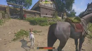 Apparently praising Mutt is magical