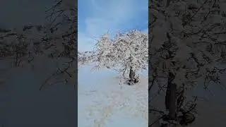 kurdistan nature #kurdistan #kurdistannature #zanyar_sarnawsy #travel #snow