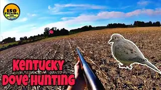 Kentucky Solo Dove Hunting Public Land!!!