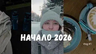 Влог: Мои дни 2026. Закупаемся в Лемана про, рассказала про цели 2026 года, показываю покупки.
