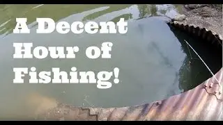 Sluice Pipe Fishing Bass, Pike, Carp, and a Big Perch!