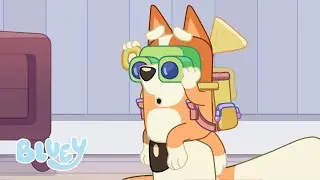 Bluey e Bingo Escalam o Monte Mam&atilde;epai! | Monte Mam&atilde;epai | Bluey Portugu&ecirc;s Brasil Canal Oficial