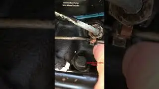 Resurrecting the old Cummins. #new #short #truck #diesel #cummins #funny #mechanics #fix #diy
