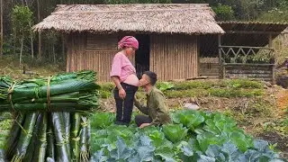 Take care of the strawberry pots, cut the dong leaves with his wife and sell them (ep42).
