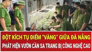 Đột kích tụ điểm “vàng” giữa Đà Nẵng: Phát hiện vườn cần sa xanh mướt được trang bị công nghệ cao
