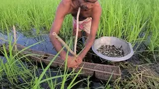 All types of indigenous fishing techniques in rural methods #fishing #bdfishinglife #roton_fishing