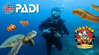 Open Water Diver License in Panglao, Philippines 🇵🇭