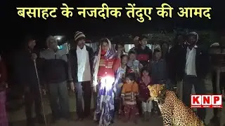 BALAGHAT: बसाहट के नजदीक तेंदुए की आमद, DFO से पिंजरा लगाकर रेस्क्यू की मांगी अनुमति