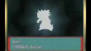Evolution de Feurisson shiney