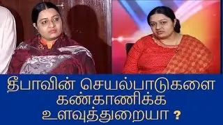deepa peravai|amma peravai|Jayalalithaa Niece Deepa Jayakumar Press Meet Over Her Political Entry |