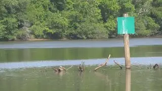 UPDATE: Chattahoochee River catfish cause of death likely determined