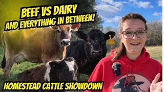 Not All Cows Are Equal | Choosing the Right One for a Homestead