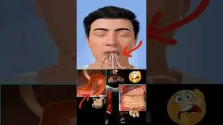 Beginilah Jadinya Jika Mukbang Makan Gurita Hidup! #shorts #short #shortsfeed #viralvideo #video