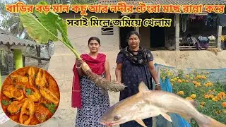 বাড়ির বড় সাইজের মান কচু তুলে নদীর বড় বড় টেংরা মাছ রান্না করে খেলাম ll Nandita Sundarban life 