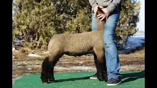 22129