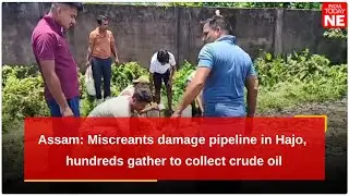 Assam: Miscreants damage pipeline in Hajo, hundreds gather to collect crude oil