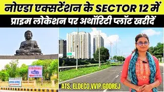 Great opportunity to buy authority plot in Noida Extension Sector 12 🔥 6% Authority Plots In Sect...