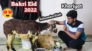 Bakri Eid Vlog || 2022 || Talking With Sheep || Eid Ul Adha Hyderabad || Md Unique Entertainemnt