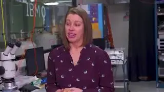 50 Qs with IBM Q: Sarah Sheldon