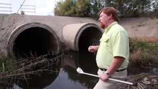 Where Mosquitoes Live