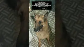 searching for parents