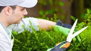 Landscaping | Charlotte, NC - Queen City Lawn & Landscaping
