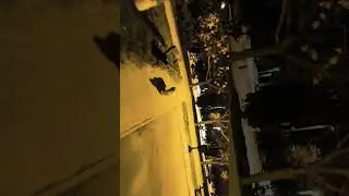 11 de enero de 2026