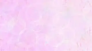 borkK Live Stream
